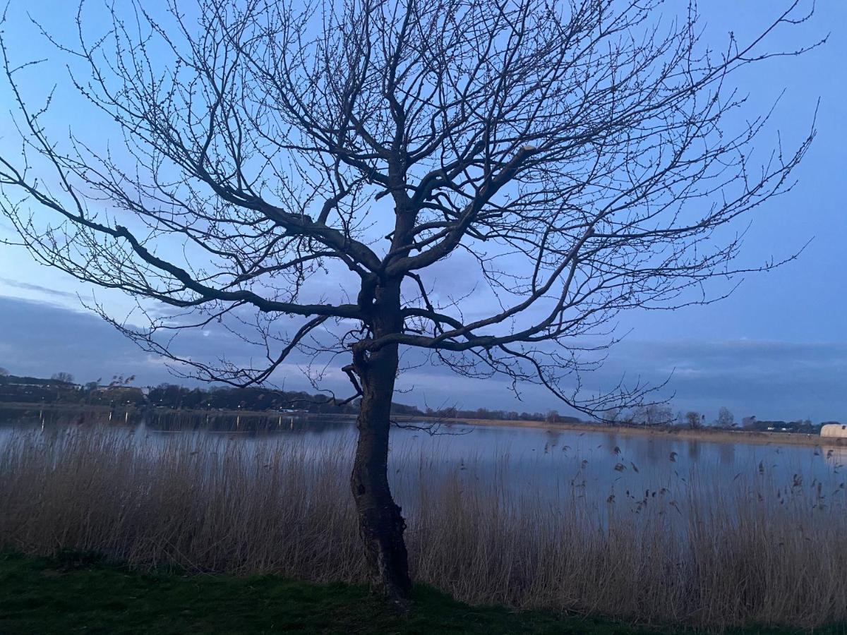 Usedomtor 1720 Fewo I Wolgast Esterno foto
